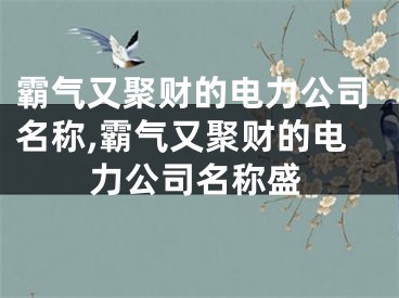霸气又聚财的电力公司名称,霸气又聚财的电力公司名称盛