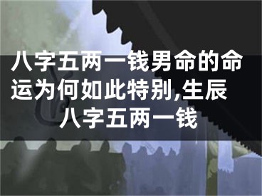 八字五两一钱男命的命运为何如此特别,生辰八字五两一钱