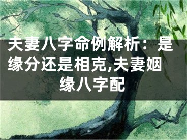 夫妻八字命例解析：是缘分还是相克,夫妻姻缘八字配