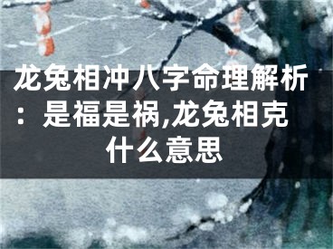 龙兔相冲八字命理解析：是福是祸,龙兔相克什么意思
