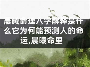 晨曦命理八字解释是什么它为何能预测人的命运,晨曦命里