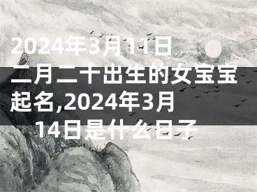 2024年3月11日二月二十出生的女宝宝起名,2024年3月14日是什么日子