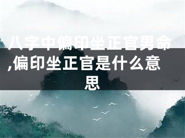 八字中偏印坐正官男命,偏印坐正官是什么意思
