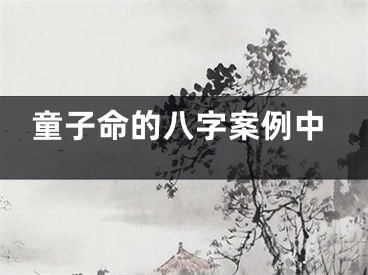 童子命的八字案例中