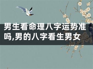 男生看命理八字运势准吗,男的八字看生男女