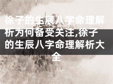 徐子的生辰八字命理解析为何备受关注,徐子的生辰八字命理解析大全