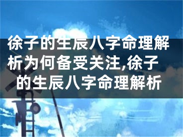 徐子的生辰八字命理解析为何备受关注,徐子的生辰八字命理解析