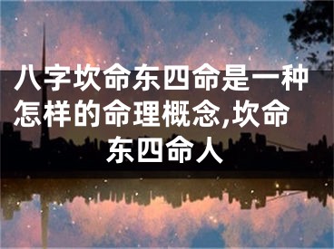 八字坎命东四命是一种怎样的命理概念,坎命东四命人