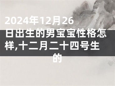 2024年12月26日出生的男宝宝性格怎样,十二月二十四号生的