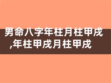 男命八字年柱月柱甲戌,年柱甲戌月柱甲戌