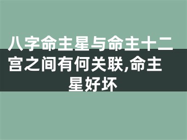八字命主星与命主十二宫之间有何关联,命主星好坏