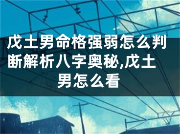 戊土男命格强弱怎么判断解析八字奥秘,戊土男怎么看