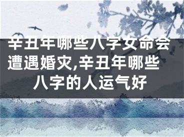 辛丑年哪些八字女命会遭遇婚灾,辛丑年哪些八字的人运气好
