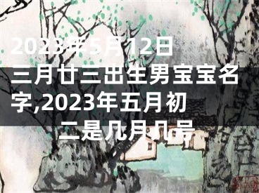 2023年5月12日三月廿三出生男宝宝名字,2023年五月初二是几月几号