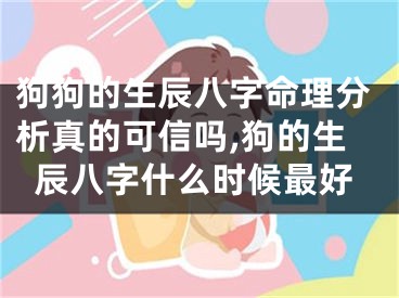 狗狗的生辰八字命理分析真的可信吗,狗的生辰八字什么时候最好