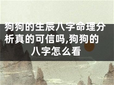 狗狗的生辰八字命理分析真的可信吗,狗狗的八字怎么看
