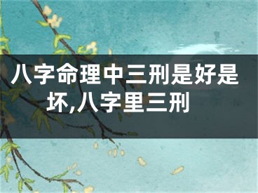 八字命理中三刑是好是坏,八字里三刑