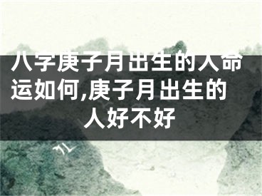 八字庚子月出生的人命运如何,庚子月出生的人好不好