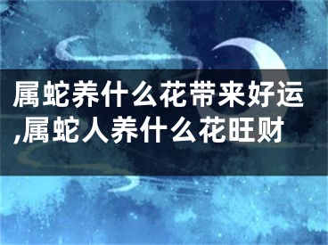属蛇养什么花带来好运,属蛇人养什么花旺财
