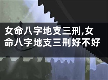 女命八字地支三刑,女命八字地支三刑好不好