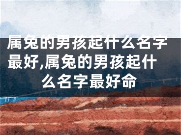 属兔的男孩起什么名字最好,属兔的男孩起什么名字最好命