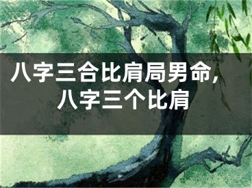 八字三合比肩局男命,八字三个比肩