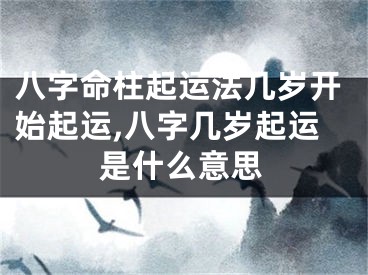 八字命柱起运法几岁开始起运,八字几岁起运是什么意思