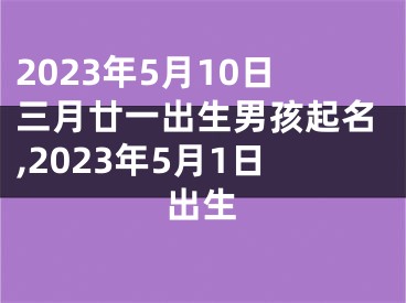 2023年5月10日三月廿一出生男孩起名,2023年5月1日出生