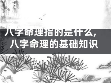 八字命理指的是什么,八字命理的基础知识