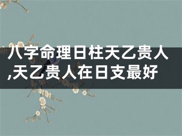 八字命理日柱天乙贵人,天乙贵人在日支最好