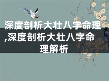 深度剖析大壮八字命理,深度剖析大壮八字命理解析