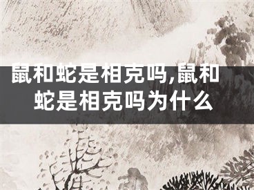 鼠和蛇是相克吗,鼠和蛇是相克吗为什么