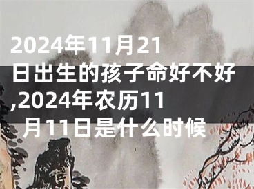 2024年11月21日出生的孩子命好不好,2024年农历11月11日是什么时候