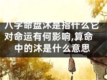 八字命盘沐是指什么它对命运有何影响,算命中的沐是什么意思