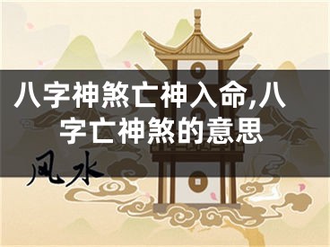 八字神煞亡神入命,八字亡神煞的意思
