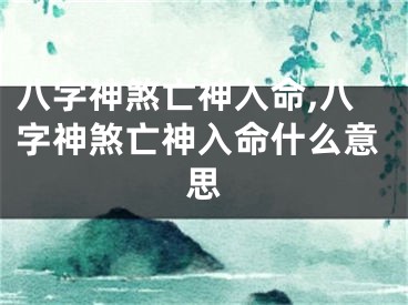八字神煞亡神入命,八字神煞亡神入命什么意思