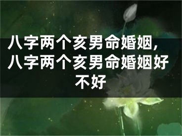 八字两个亥男命婚姻,八字两个亥男命婚姻好不好
