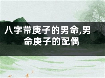 八字带庚子的男命,男命庚子的配偶
