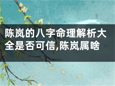 陈岚的八字命理解析大全是否可信,陈岚属啥