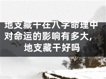 地支藏干在八字命理中对命运的影响有多大,地支藏干好吗