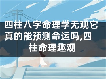 四柱八字命理学无观它真的能预测命运吗,四柱命理趣观