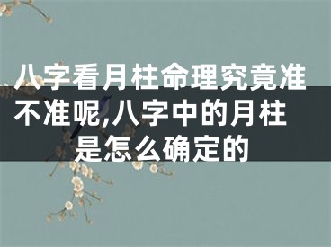 八字看月柱命理究竟准不准呢,八字中的月柱是怎么确定的
