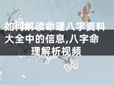 如何解读命理八字资料大全中的信息,八字命理解析视频