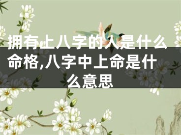 拥有上八字的人是什么命格,八字中上命是什么意思