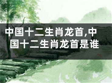 中国十二生肖龙首,中国十二生肖龙首是谁