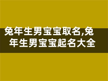 兔年生男宝宝取名,兔年生男宝宝起名大全