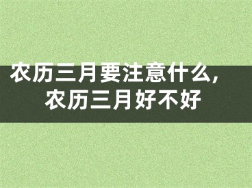 农历三月要注意什么,农历三月好不好