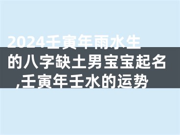 2024壬寅年雨水生的八字缺土男宝宝起名,壬寅年壬水的运势