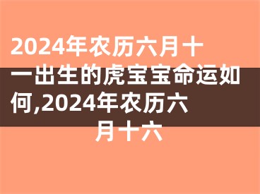 2024年农历六月十一出生的虎宝宝命运如何,2024年农历六月十六