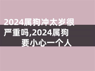 2024属狗冲太岁很严重吗,2024属狗要小心一个人